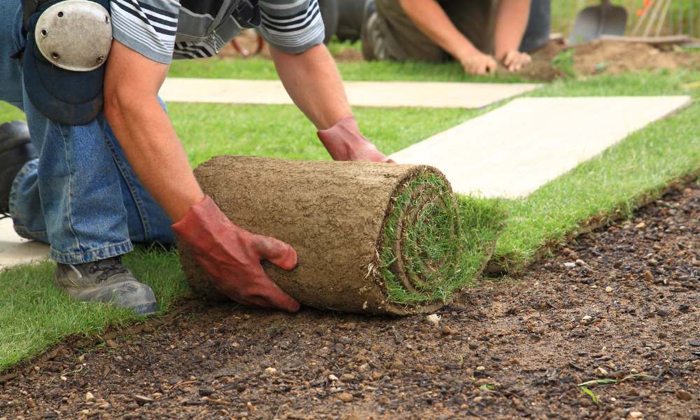 sod installation